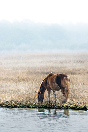 _DSC6176-Edit