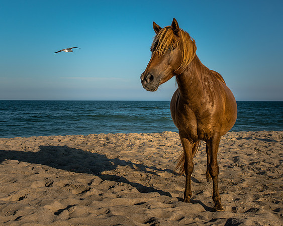 _DSC4294-Edit