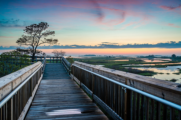 Purple Walkway