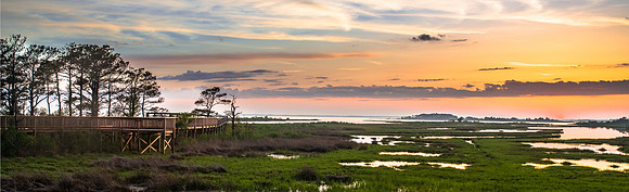Sunset Marsh