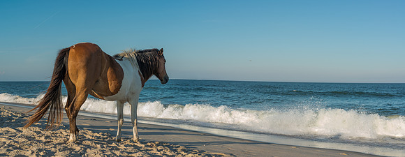 _DSC4402-Pano-Edit
