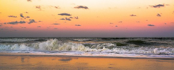 Pristine Surf