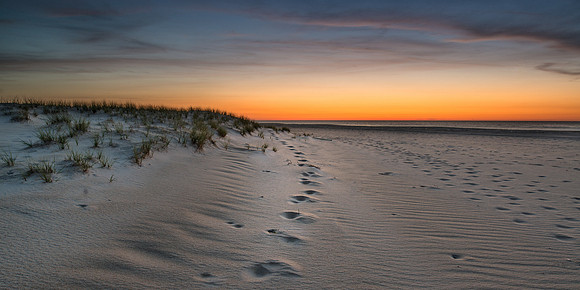 Sunrise Hoofprints