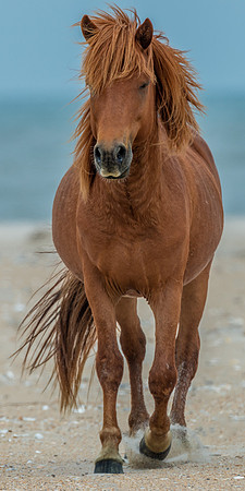 _DSC2153-Edit
