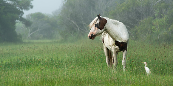 _DSC3162-Edit